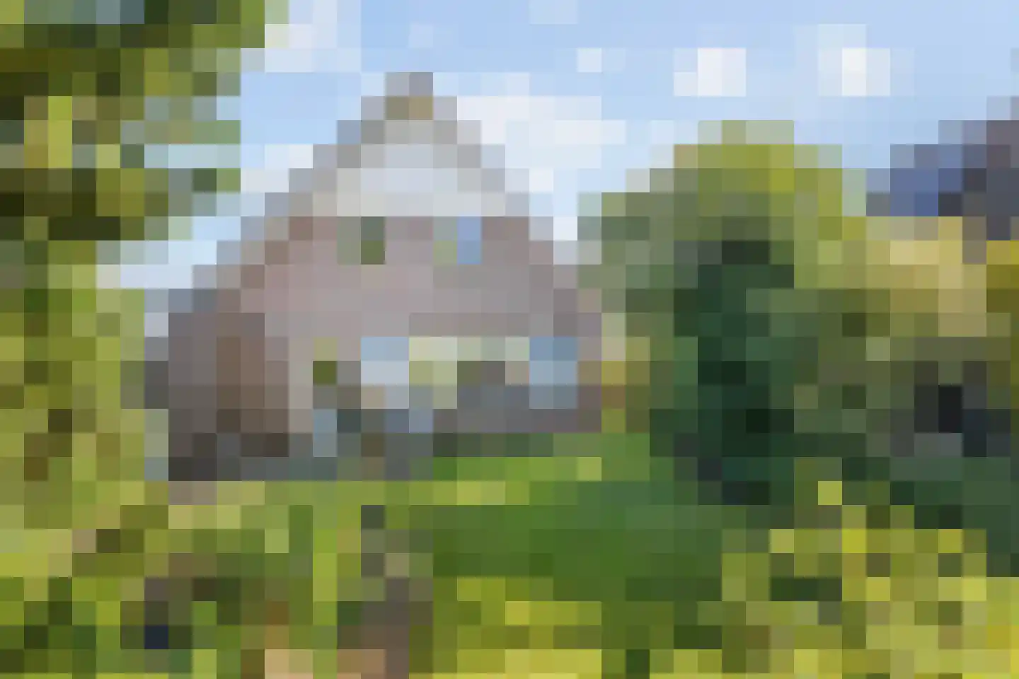 Wulp 4 Raalte thumbnail 35