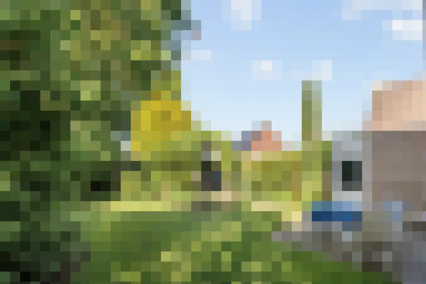 Wulp 4 Raalte thumbnail 37
