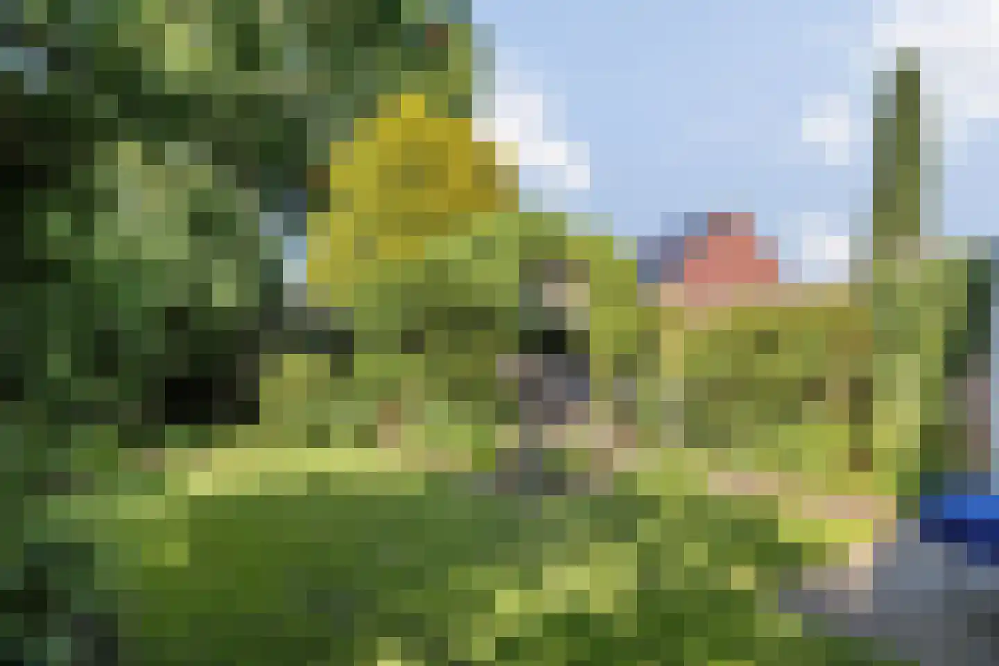 Wulp 4 Raalte thumbnail 40