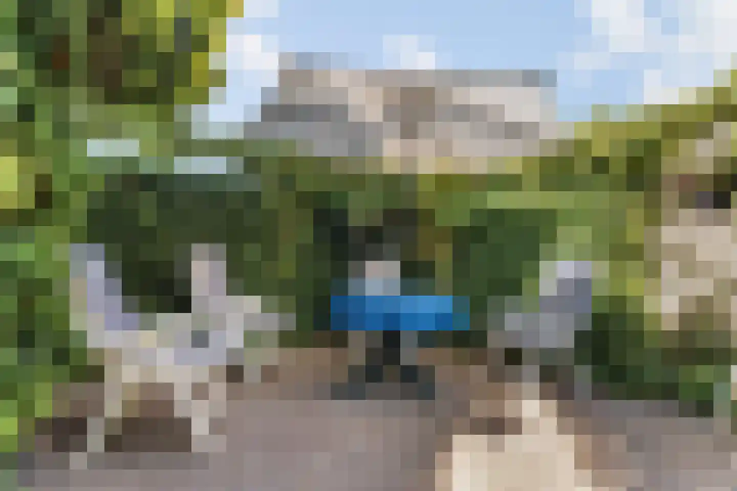 Wulp 4 Raalte thumbnail 41