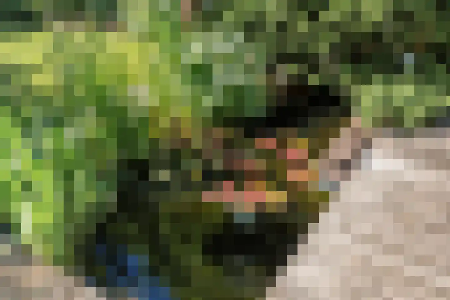 Wulp 4 Raalte thumbnail 42