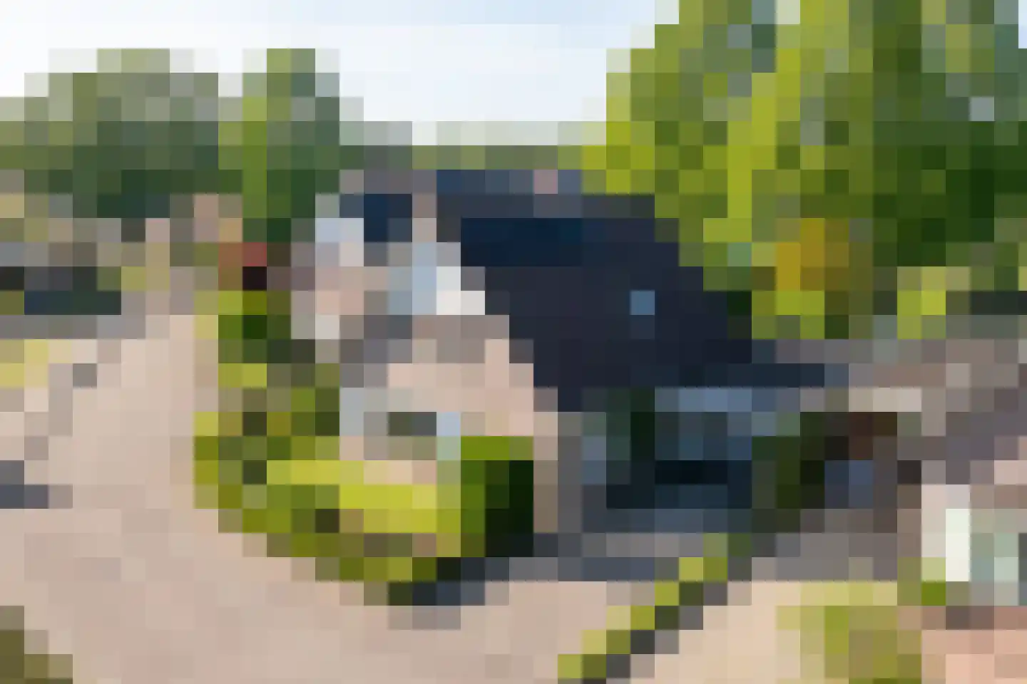 Wulp 4 Raalte thumbnail 5