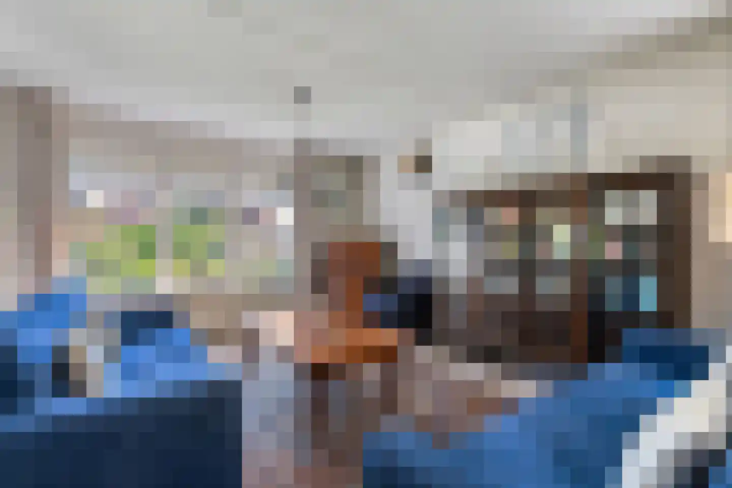 Wulp 4 Raalte thumbnail 7