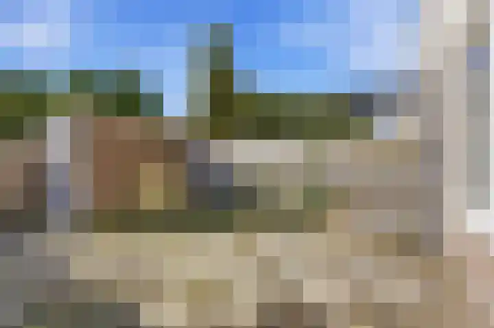 Wulp 40 Diemen thumbnail 12