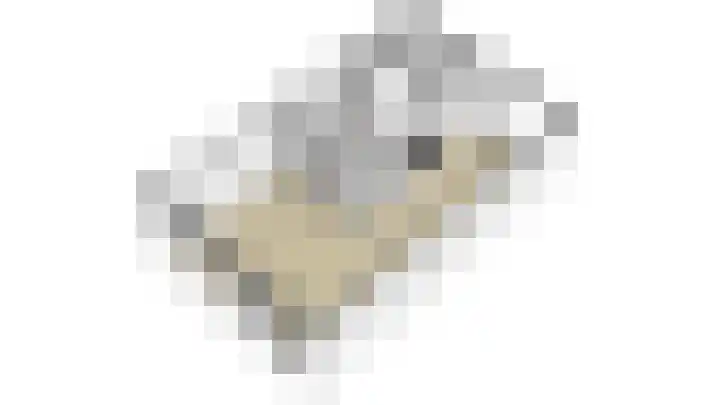Wulp 40 Diemen thumbnail 24