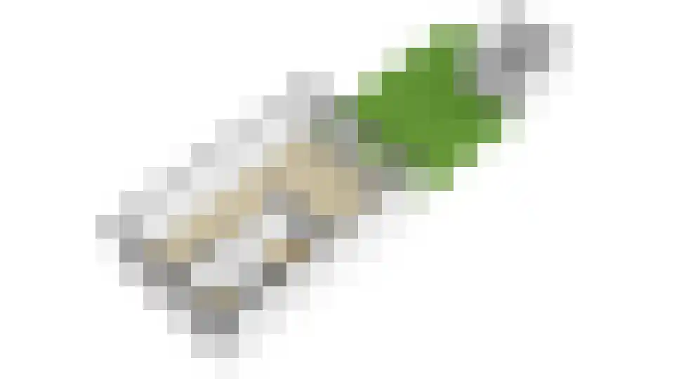 Wulp 40 Diemen thumbnail 28