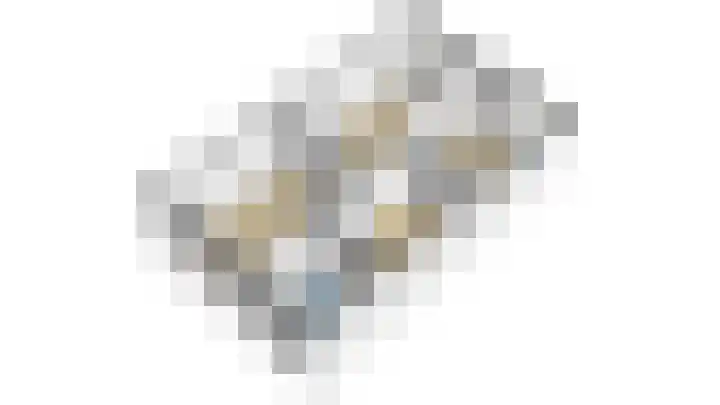 Wulp 40 Diemen thumbnail 34