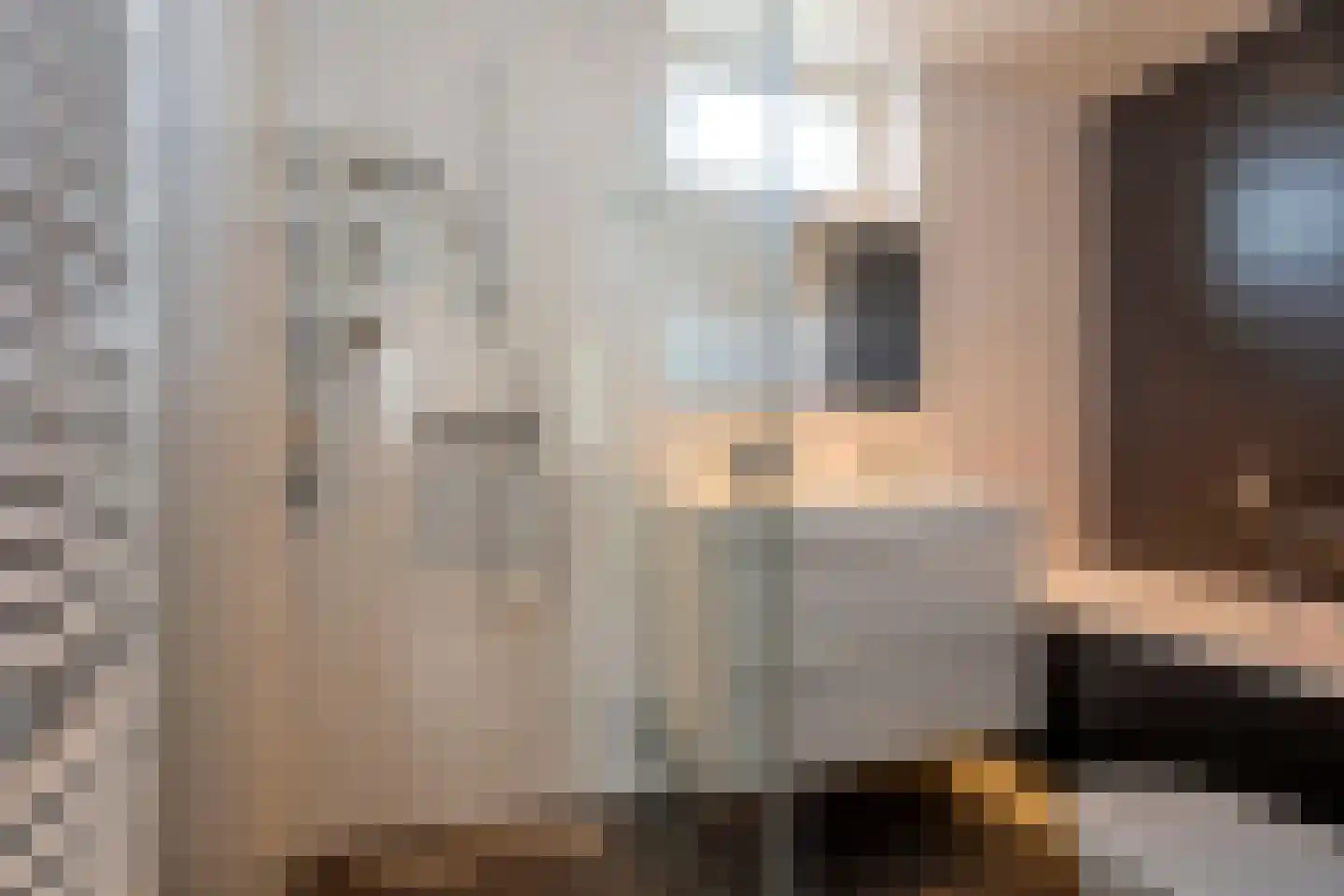 Wulp 51 Rijssen thumbnail 15