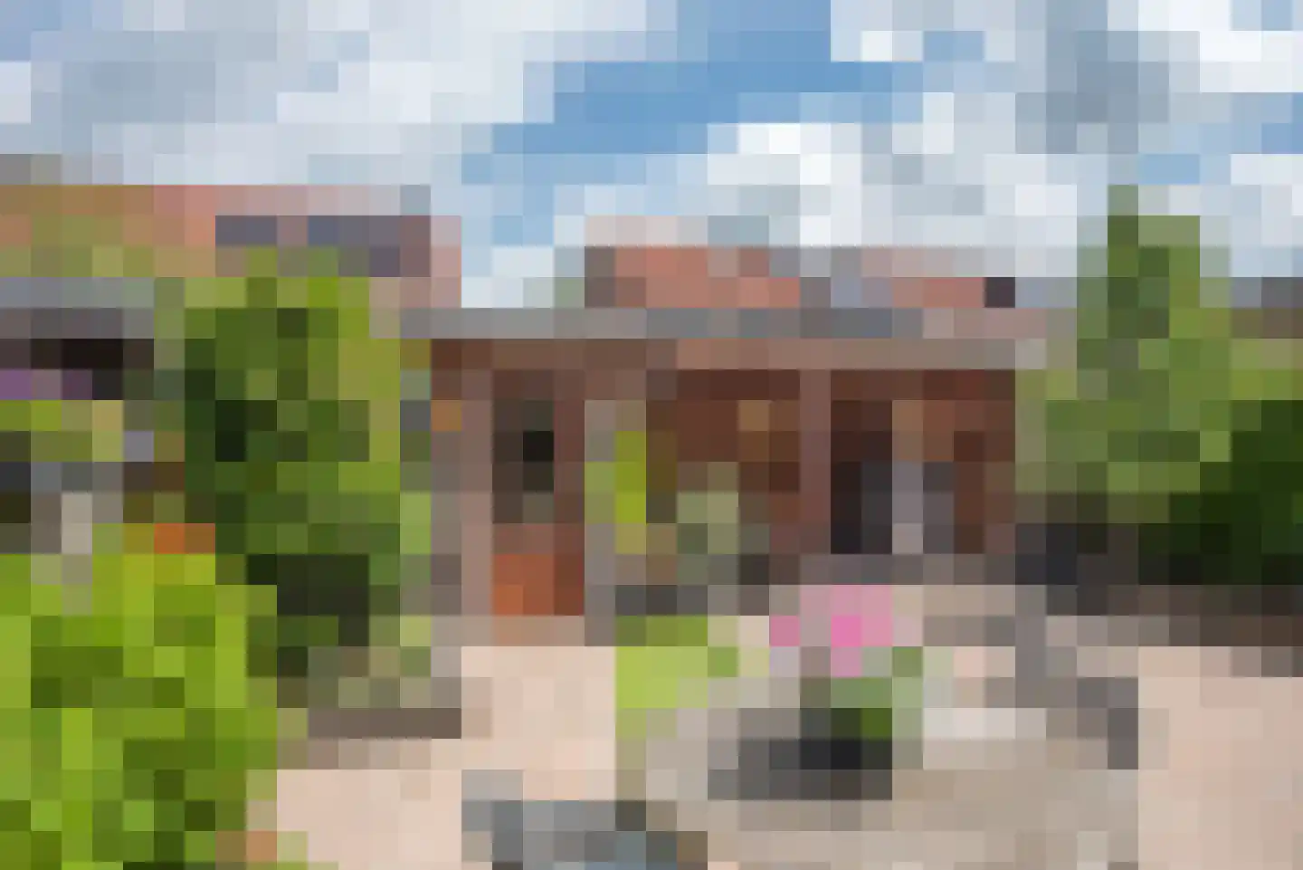 Wulp 51 Rijssen thumbnail 28