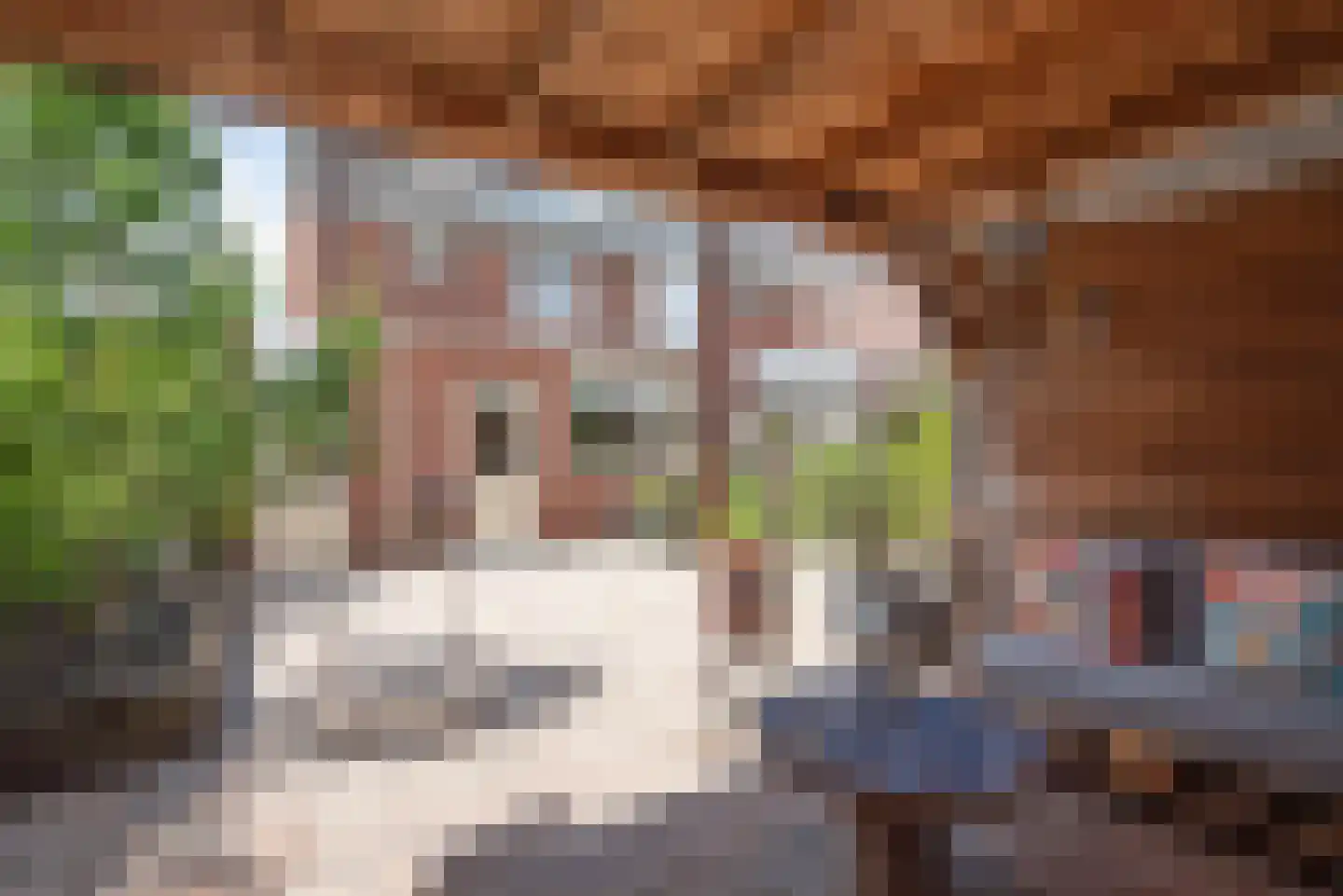 Wulp 51 Rijssen thumbnail 29