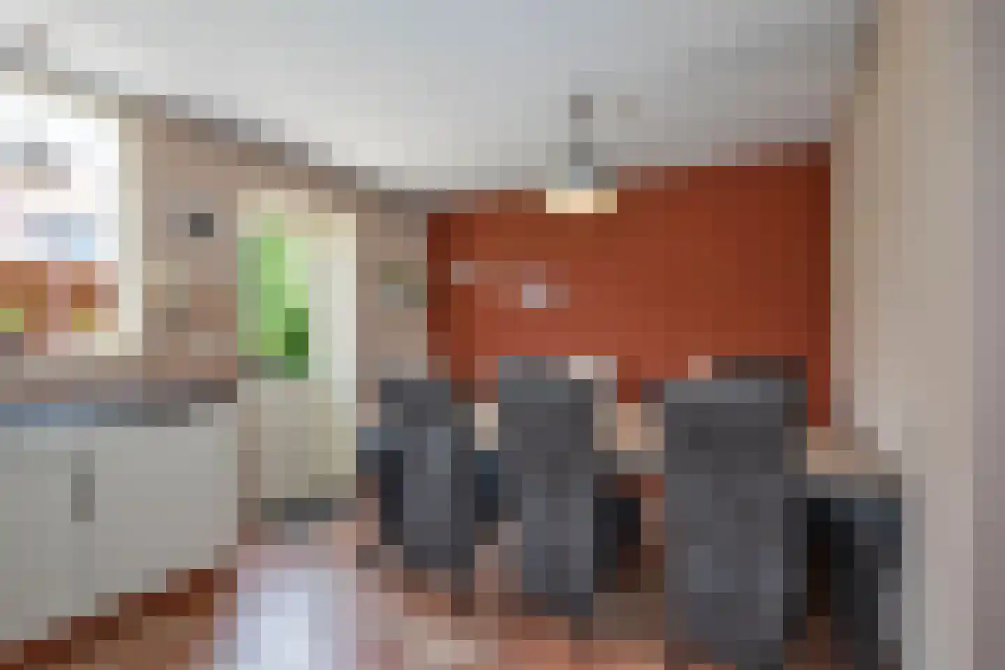 Wulp 51 Rijssen thumbnail 9