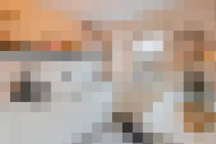 Wulp 55 Raalte thumbnail 10