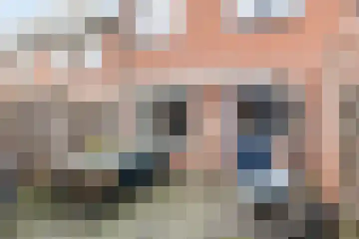 Wulp 55 Raalte thumbnail 22