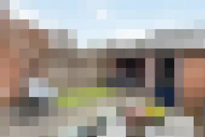 Wulp 55 Raalte thumbnail 24