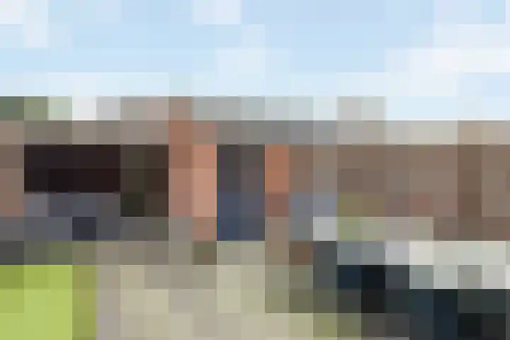 Wulp 55 Raalte thumbnail 25