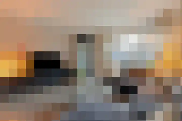 Wulp 55 Raalte thumbnail 4