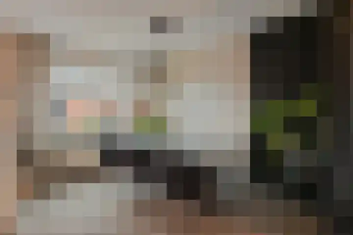 Wulp 55 Raalte thumbnail 6
