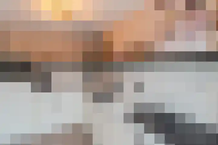 Wulp 55 Raalte thumbnail 8