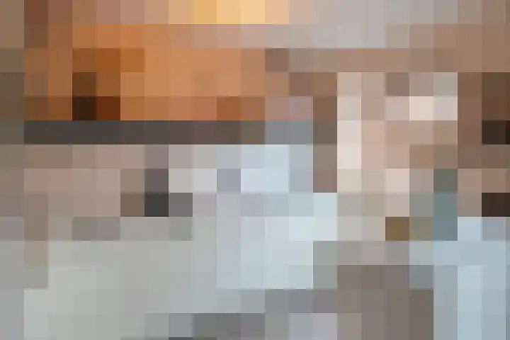 Wulp 55 Raalte thumbnail 9