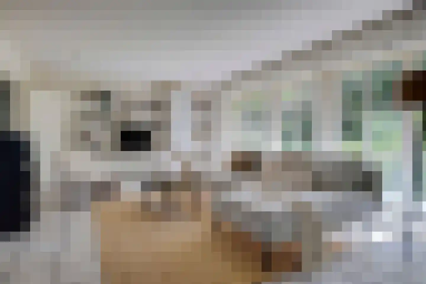 Wulp 7 Zuid-Scharwoude thumbnail 10