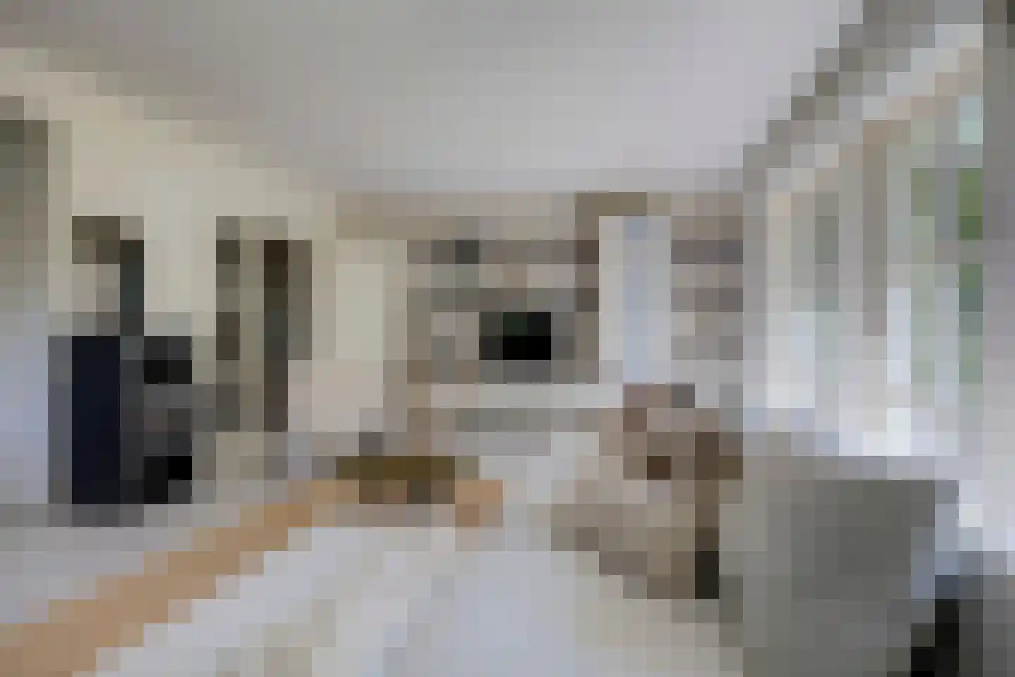 Wulp 7 Zuid-Scharwoude thumbnail 11