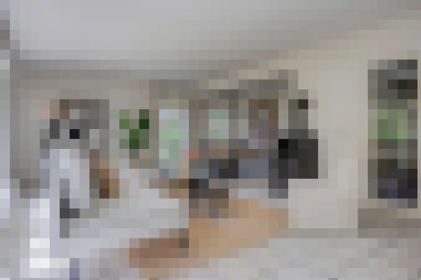 Wulp 7 Zuid-Scharwoude thumbnail 12