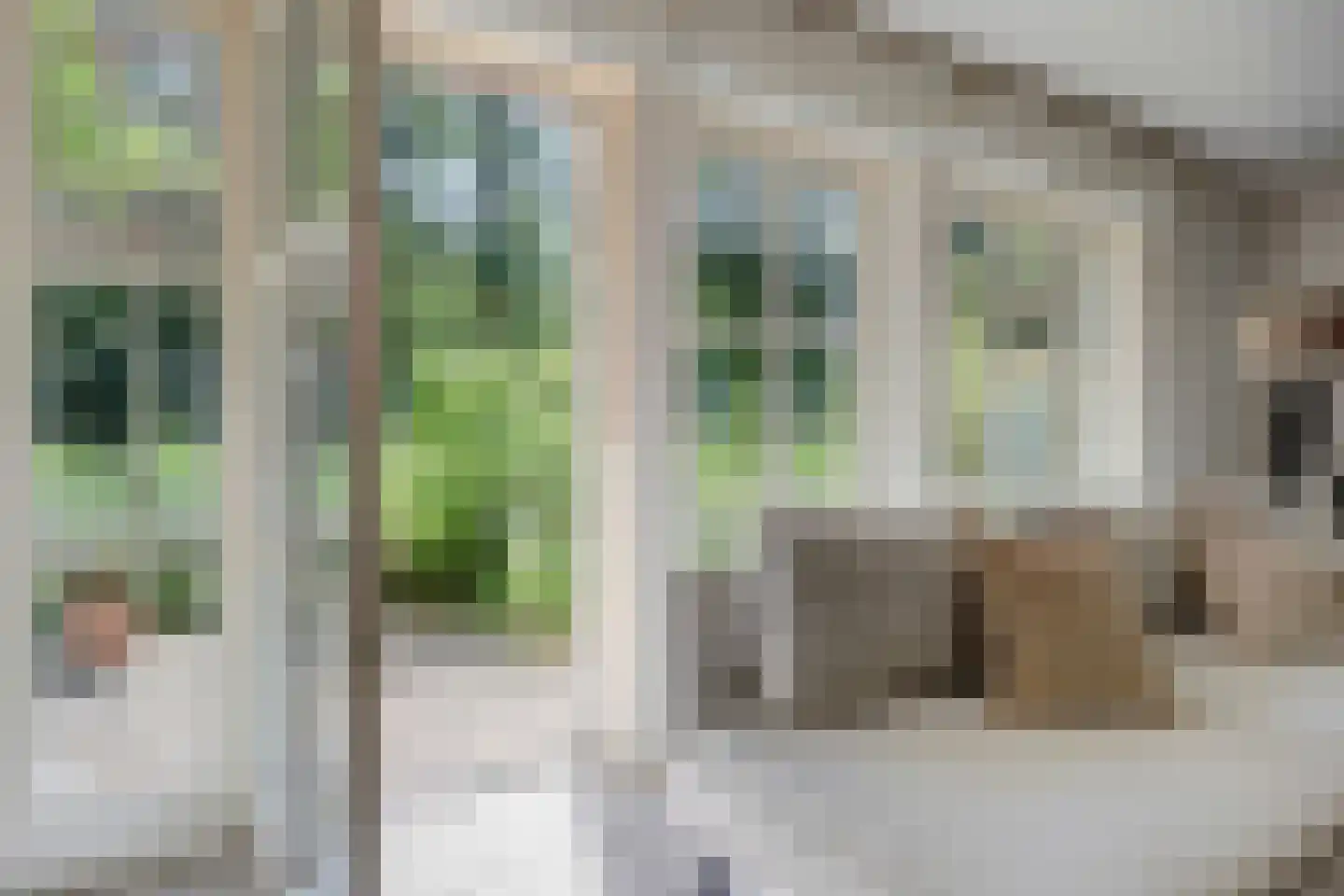 Wulp 7 Zuid-Scharwoude thumbnail 13