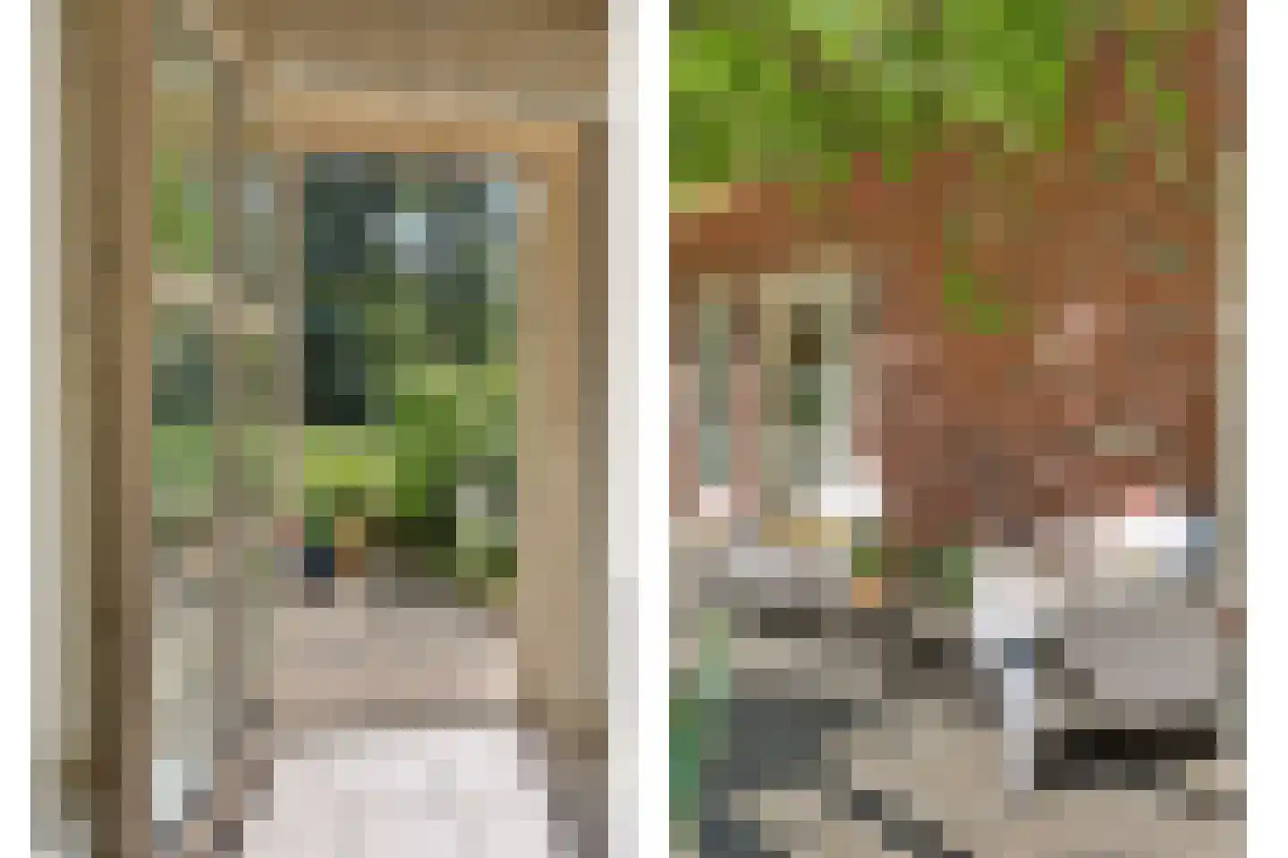 Wulp 7 Zuid-Scharwoude thumbnail 14