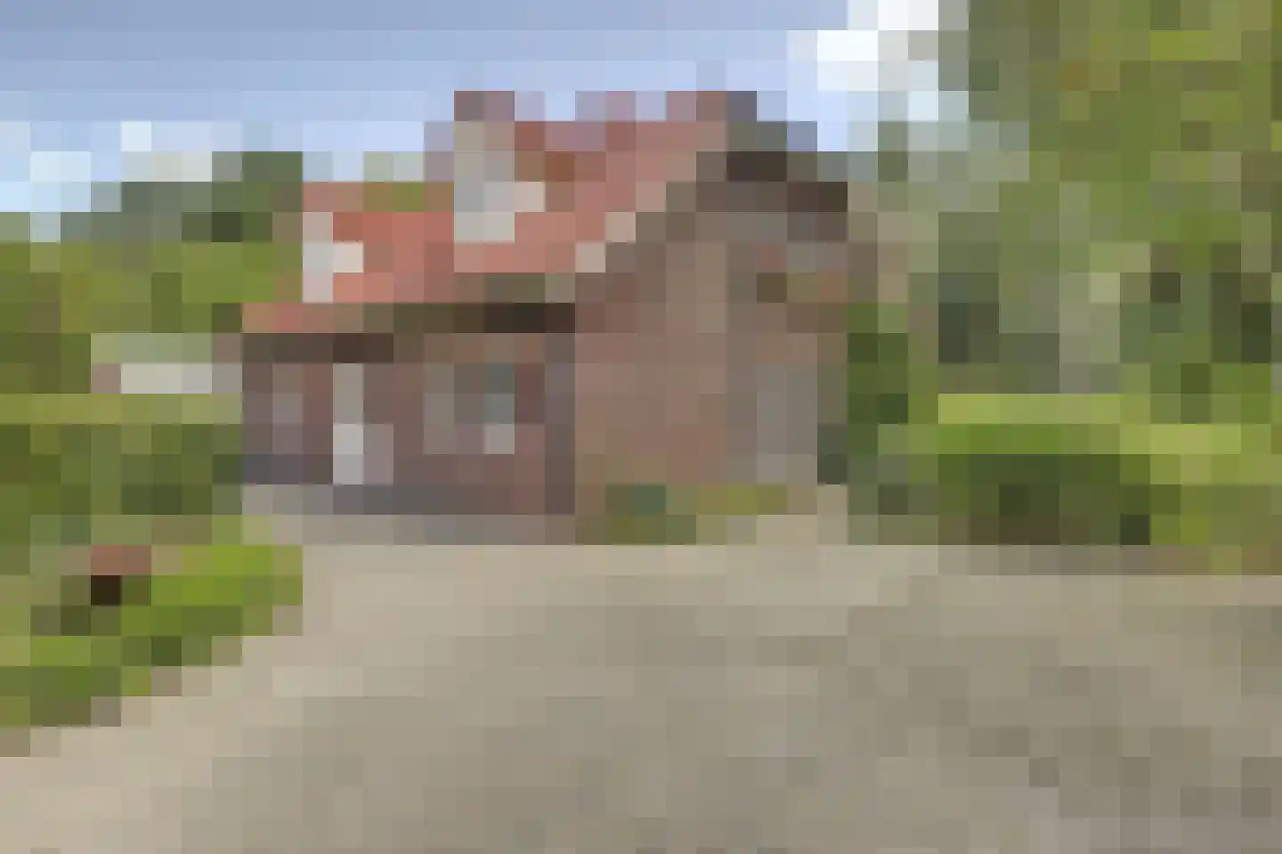 Wulp 7 Zuid-Scharwoude foto 2