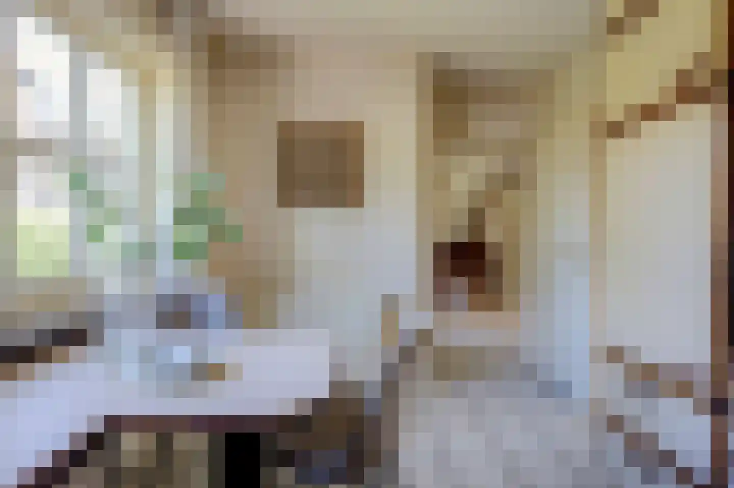 Wulp 7 Zuid-Scharwoude thumbnail 21