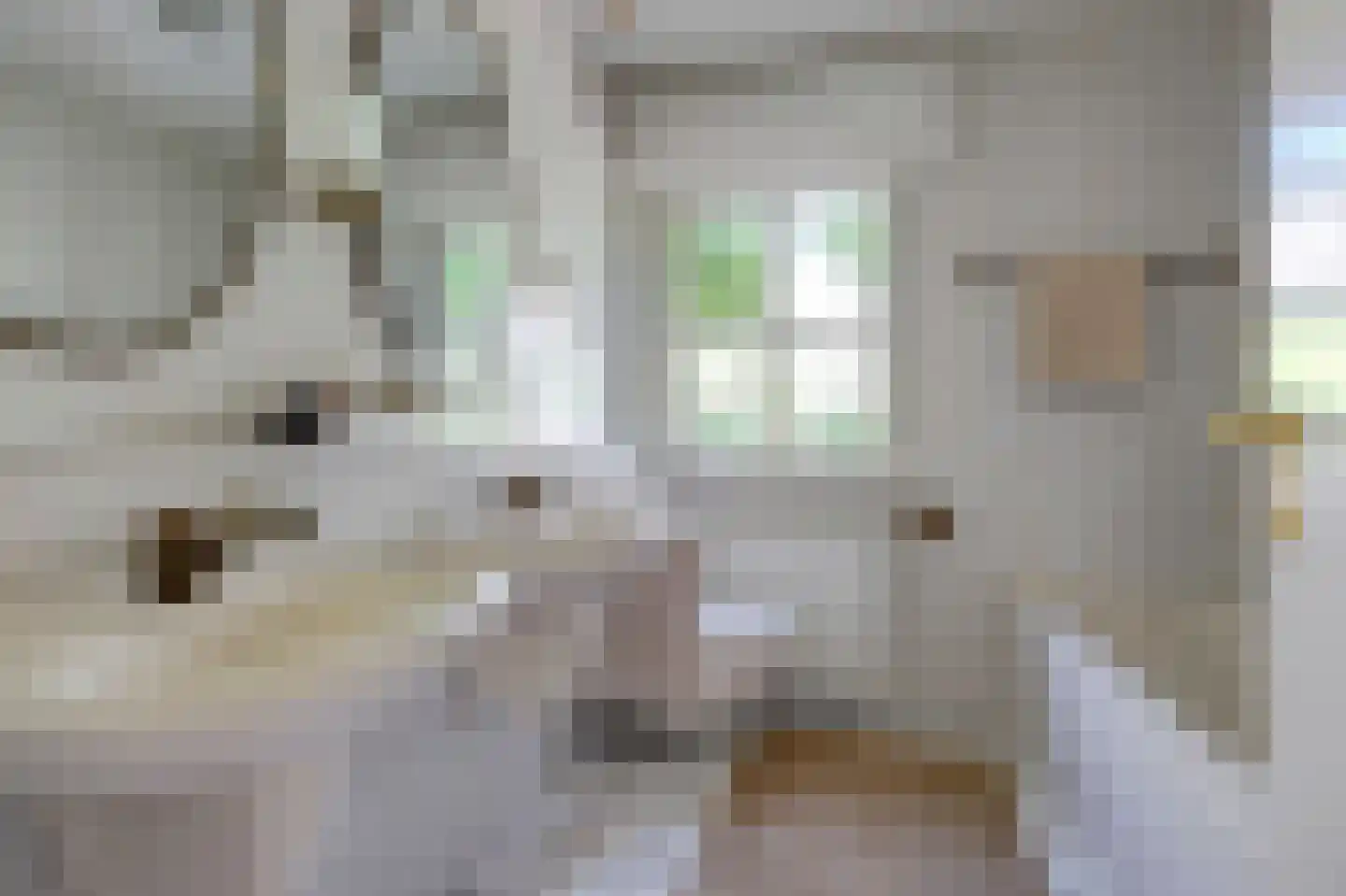 Wulp 7 Zuid-Scharwoude thumbnail 25
