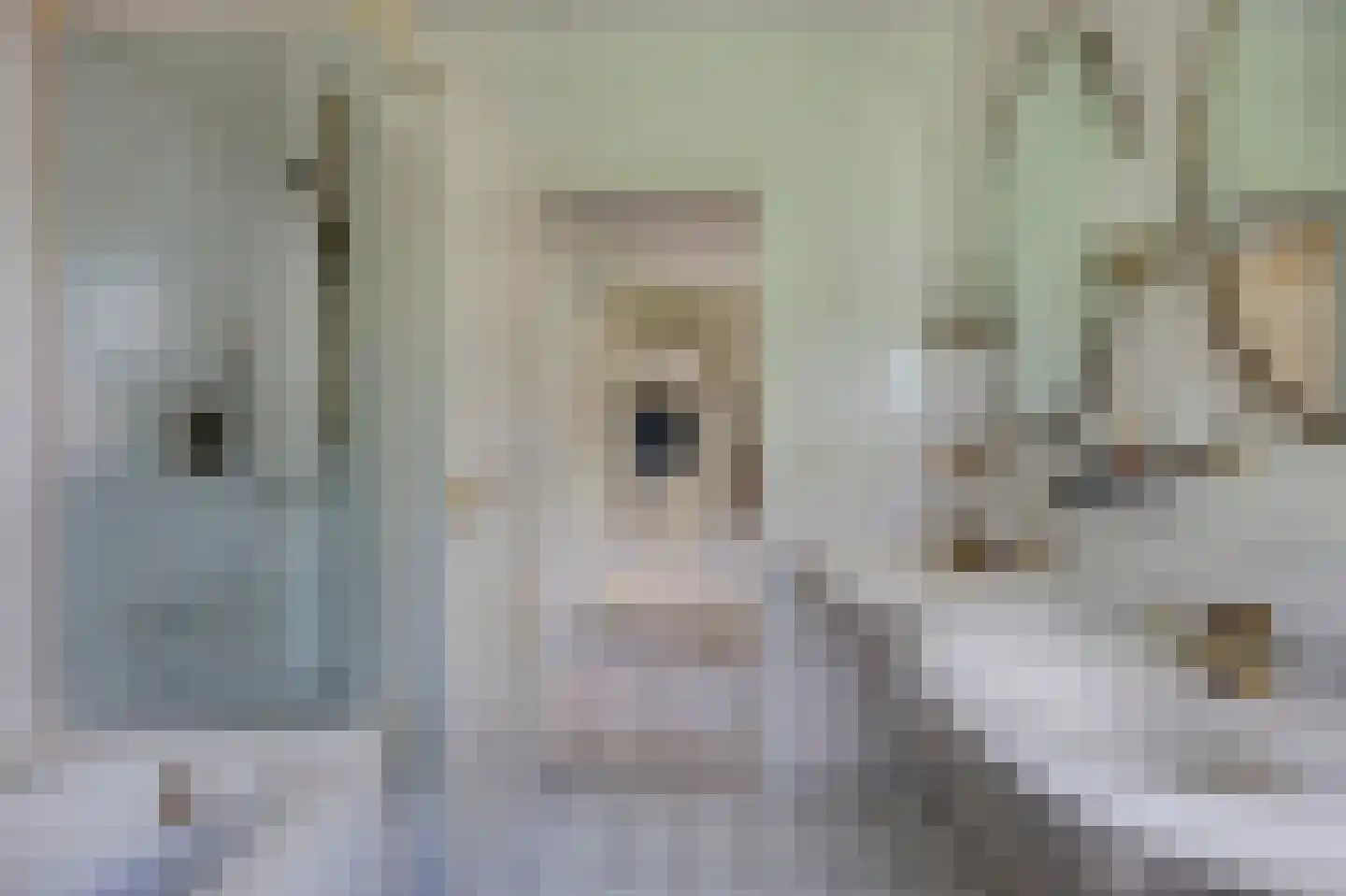 Wulp 7 Zuid-Scharwoude thumbnail 26