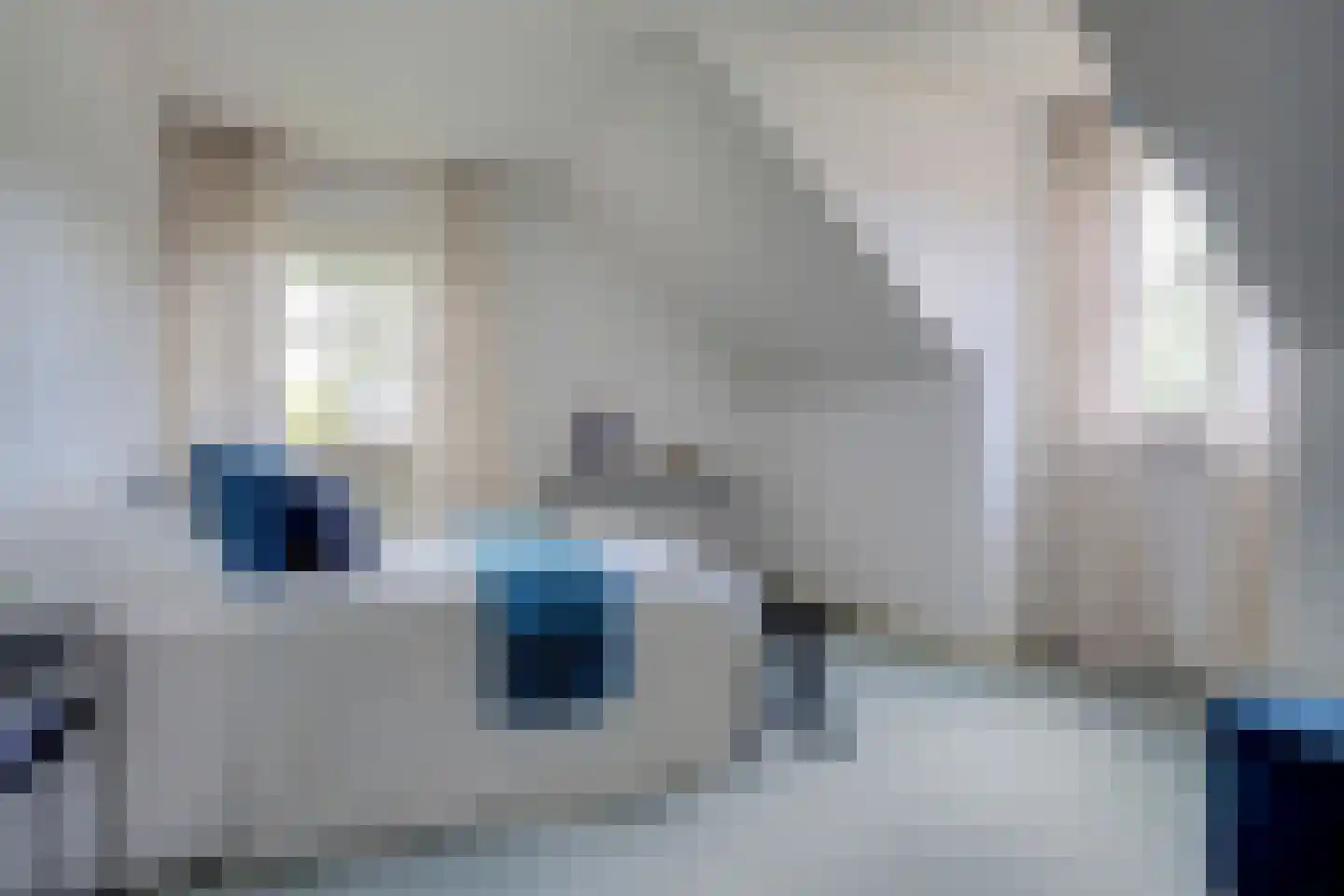 Wulp 7 Zuid-Scharwoude thumbnail 31