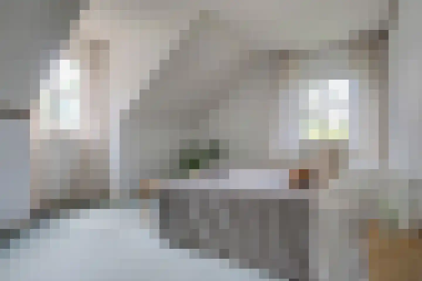 Wulp 7 Zuid-Scharwoude thumbnail 33