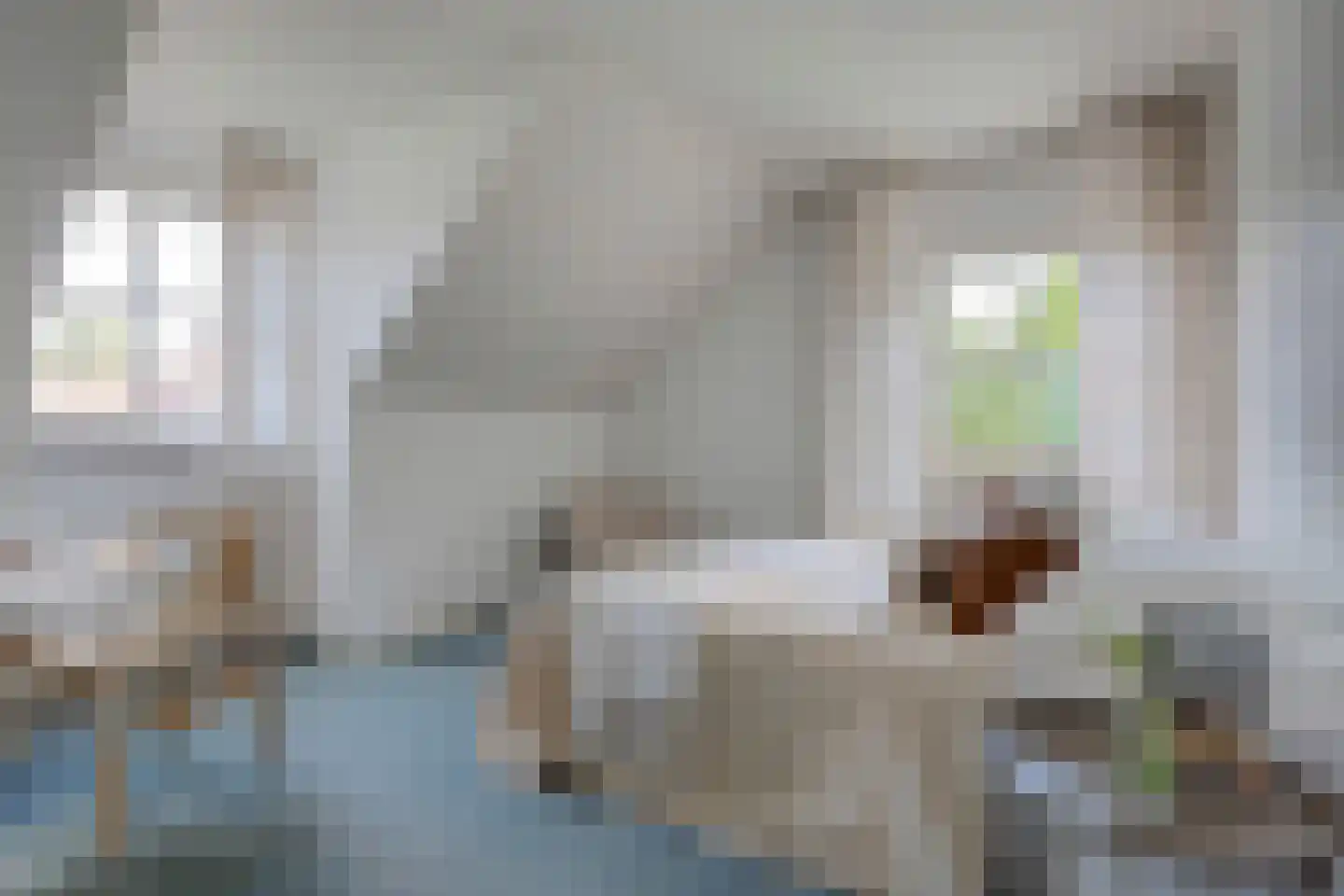 Wulp 7 Zuid-Scharwoude thumbnail 37