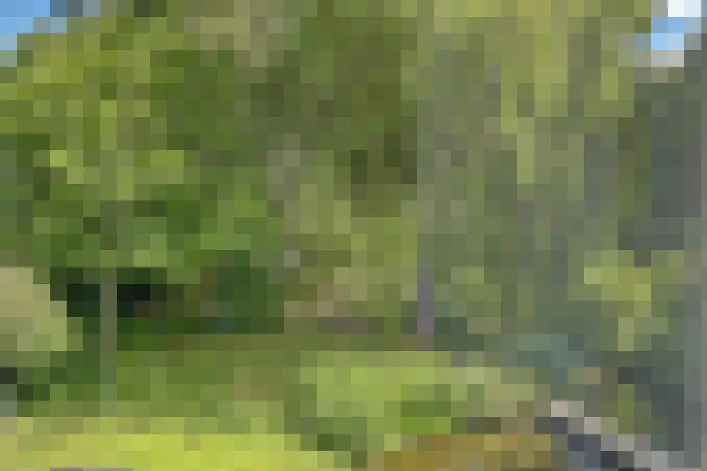 Wulp 7 Zuid-Scharwoude thumbnail 38