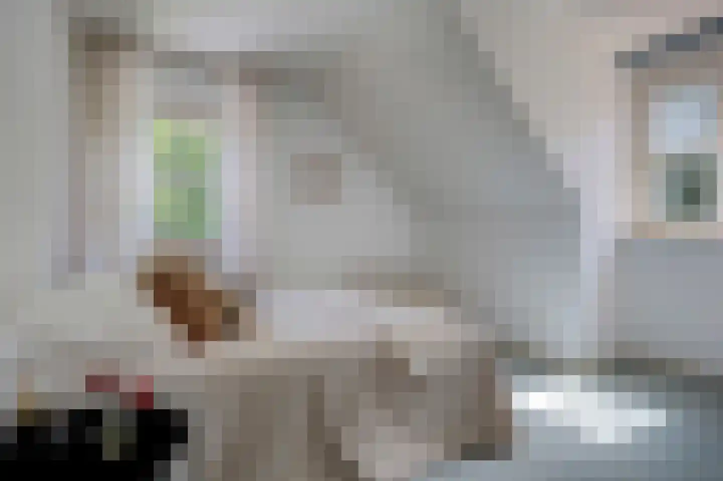 Wulp 7 Zuid-Scharwoude thumbnail 40