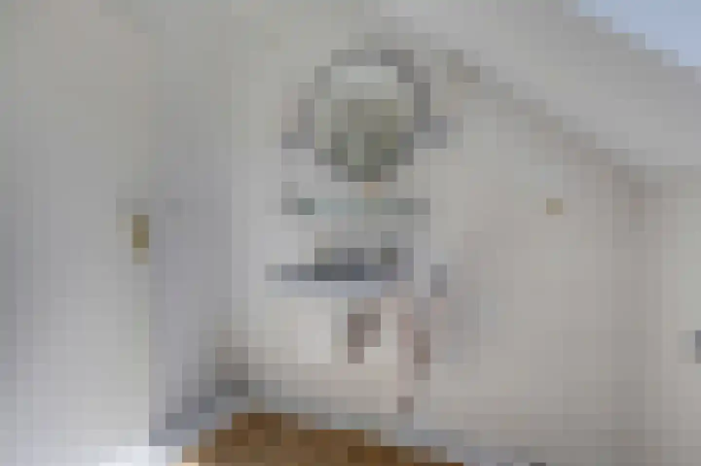 Wulp 7 Zuid-Scharwoude thumbnail 44