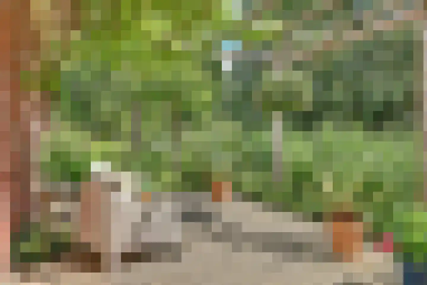 Wulp 7 Zuid-Scharwoude thumbnail 46