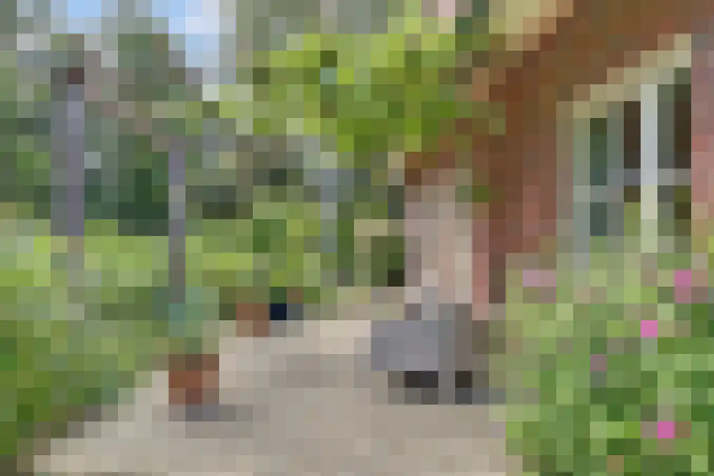 Wulp 7 Zuid-Scharwoude thumbnail 47