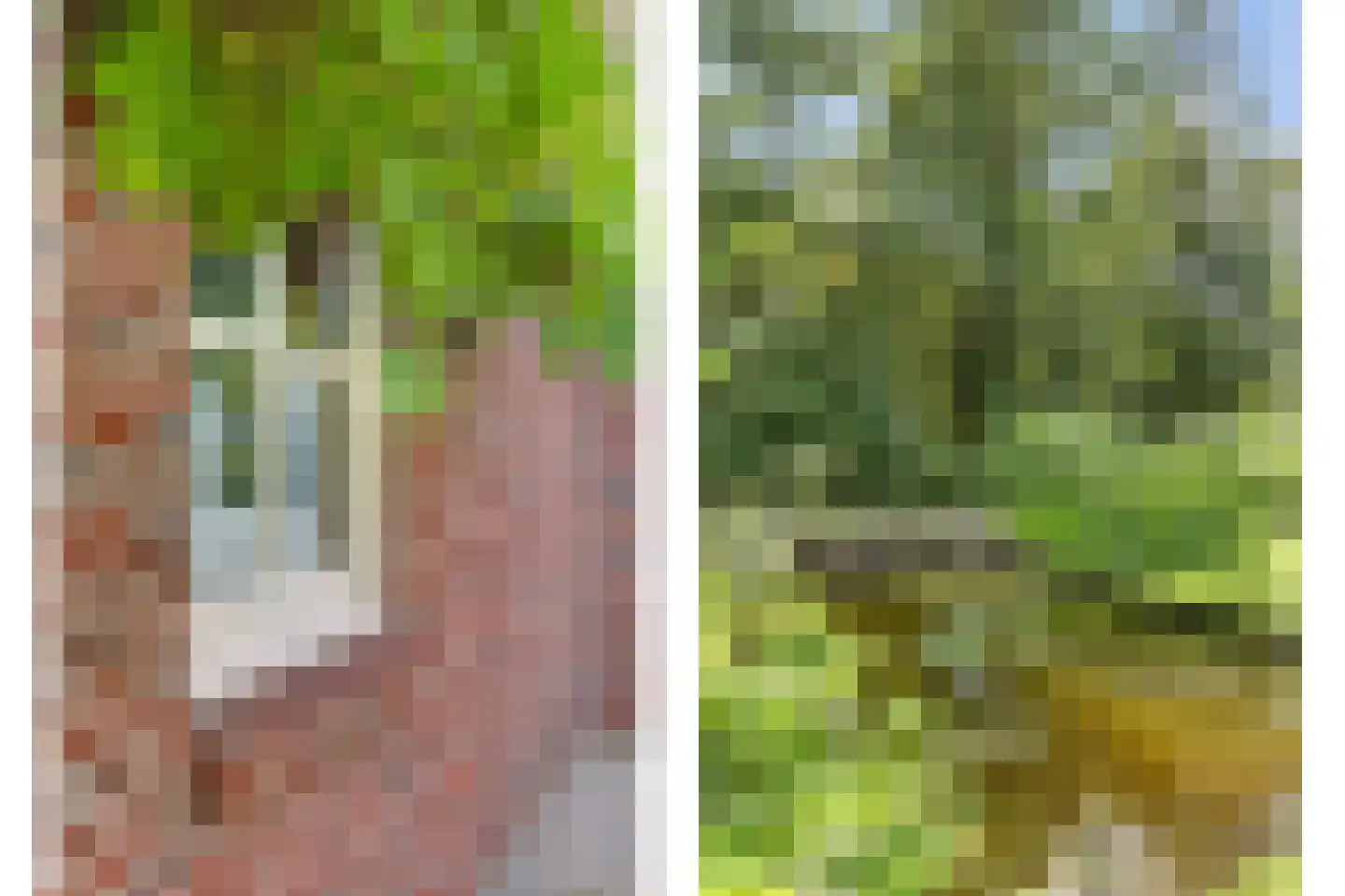Wulp 7 Zuid-Scharwoude thumbnail 49