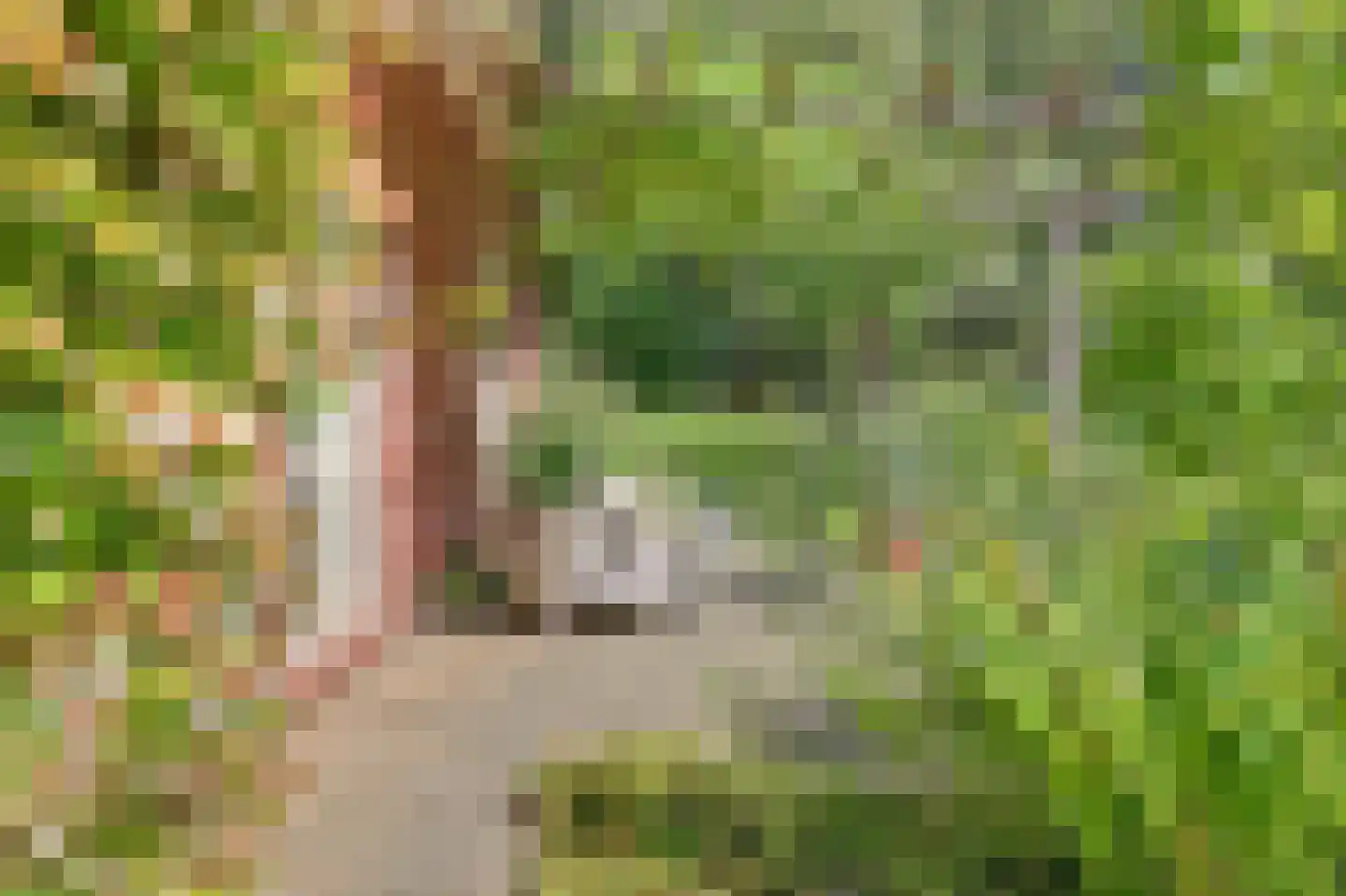 Wulp 7 Zuid-Scharwoude thumbnail 5