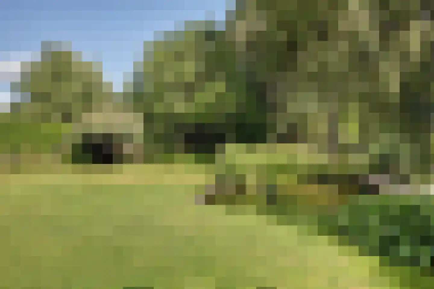 Wulp 7 Zuid-Scharwoude thumbnail 50