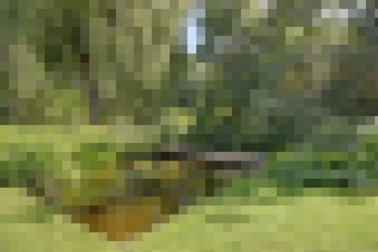 Wulp 7 Zuid-Scharwoude thumbnail 51