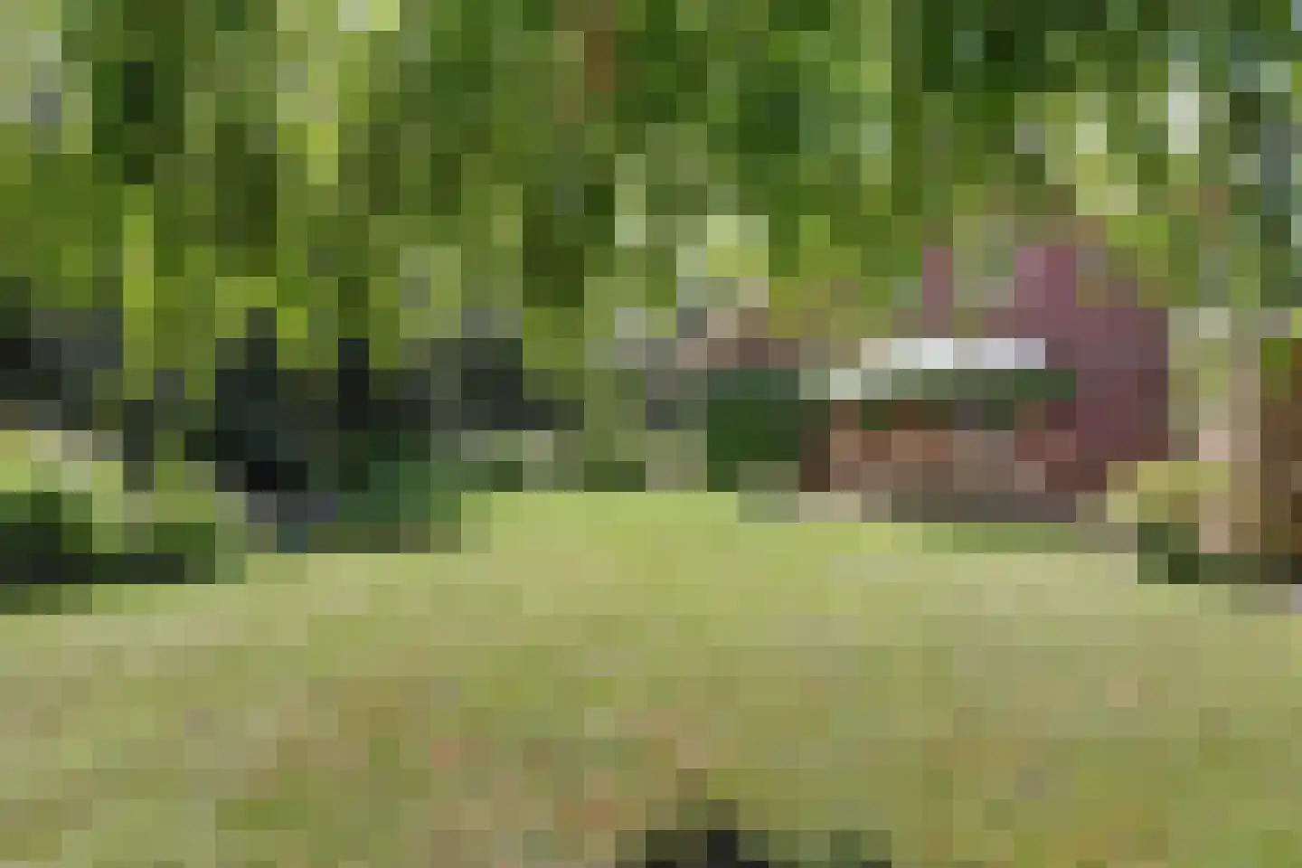 Wulp 7 Zuid-Scharwoude thumbnail 52