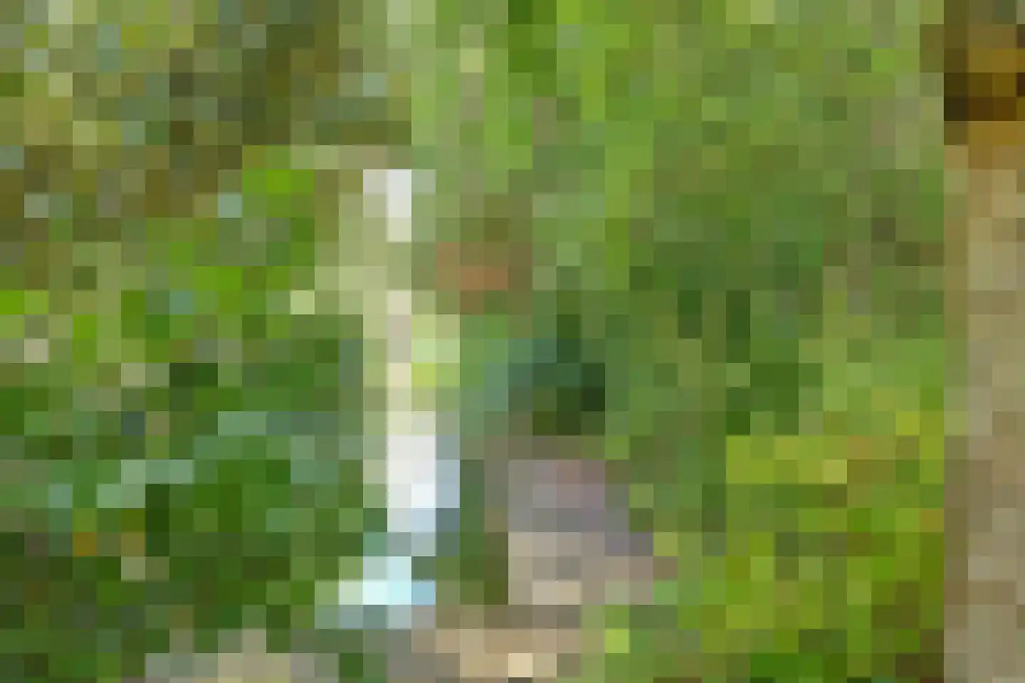 Wulp 7 Zuid-Scharwoude thumbnail 53