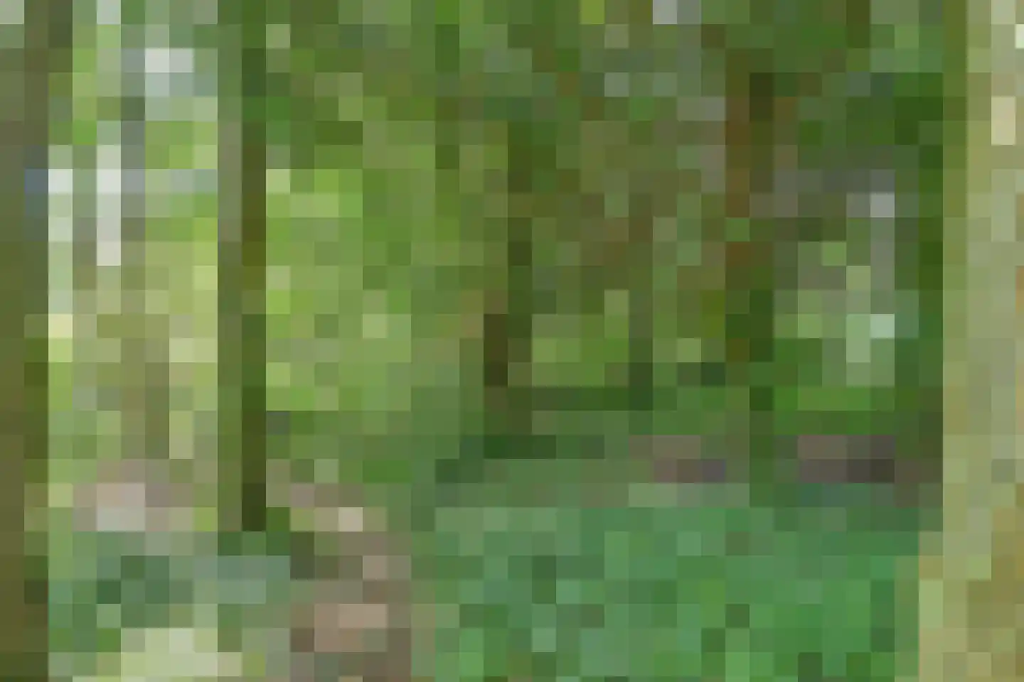 Wulp 7 Zuid-Scharwoude thumbnail 54