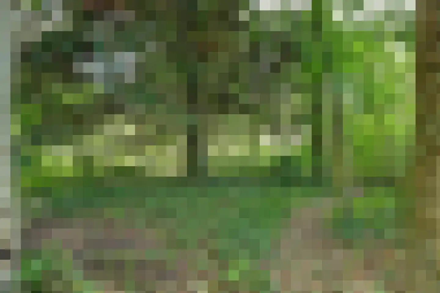 Wulp 7 Zuid-Scharwoude thumbnail 55