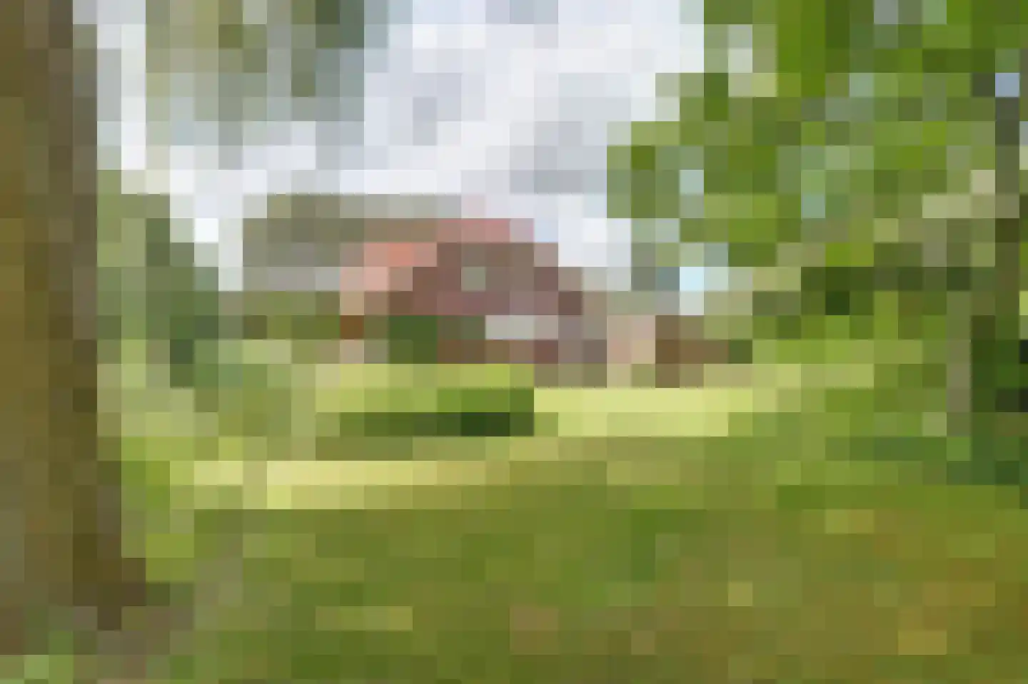 Wulp 7 Zuid-Scharwoude thumbnail 56