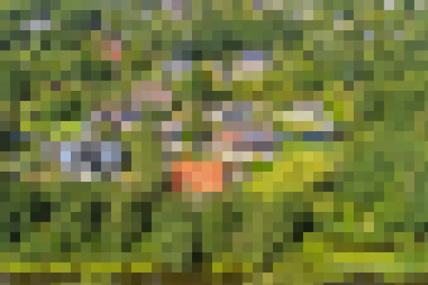Wulp 7 Zuid-Scharwoude thumbnail 57